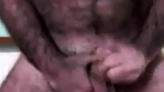 Hairy Daddy Strokes His Cock