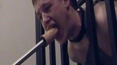 Mouth Training: Sub Twink's Toy Play with an Older Dom