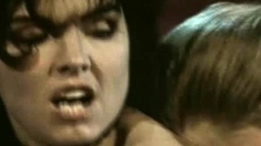 Blowjob Close Up No Hands Cumshot