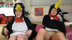 Teen penguins on cam