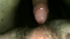 not my daddy fuck me bareback