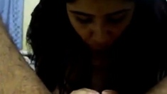 Bangla desi Bhabi Sucking her Devar