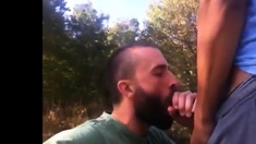 Outdoor Fucking Sucking Cum